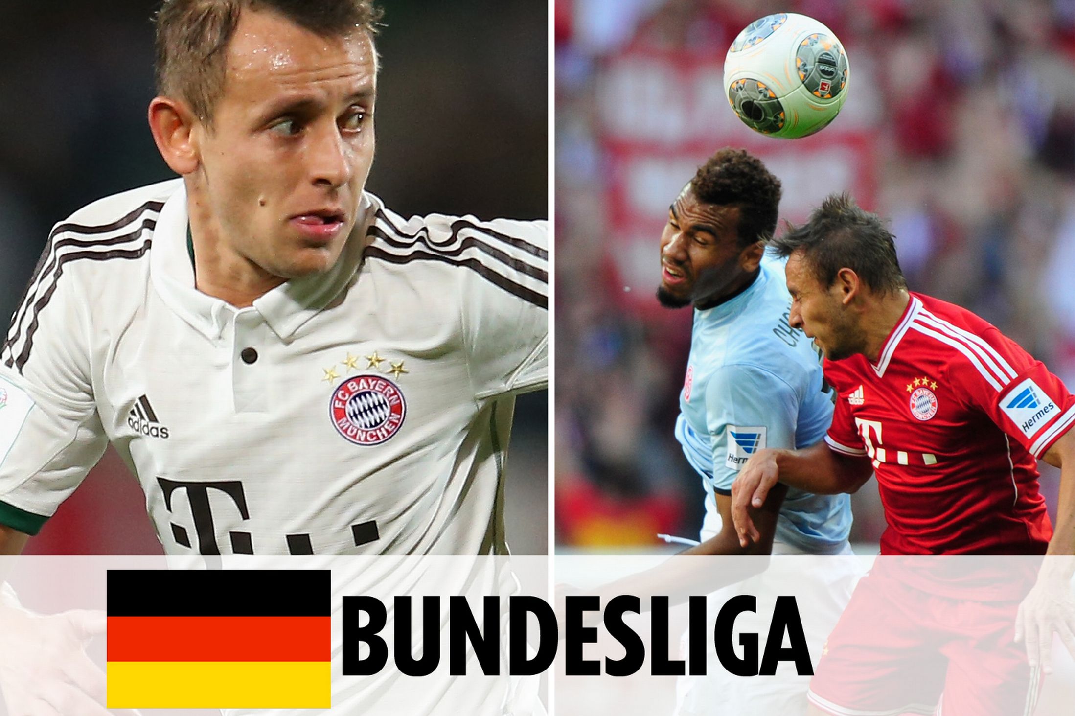 理念的普及 理念的普及